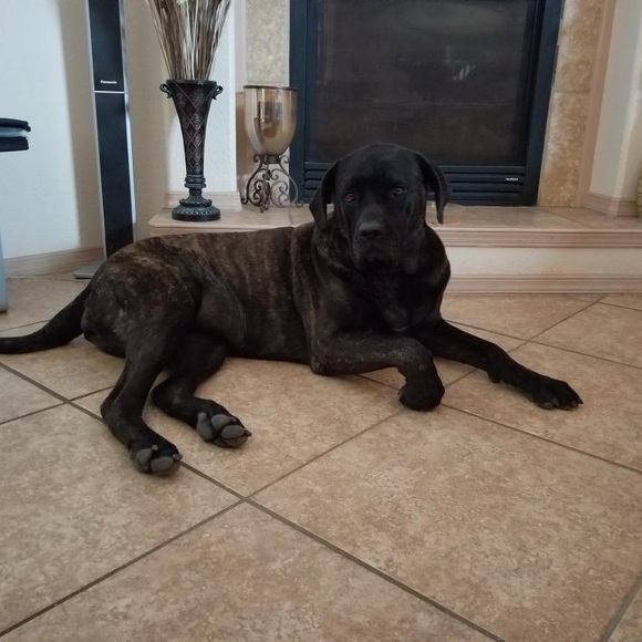 Meet your Posher, Pat - Picture 4 of 16